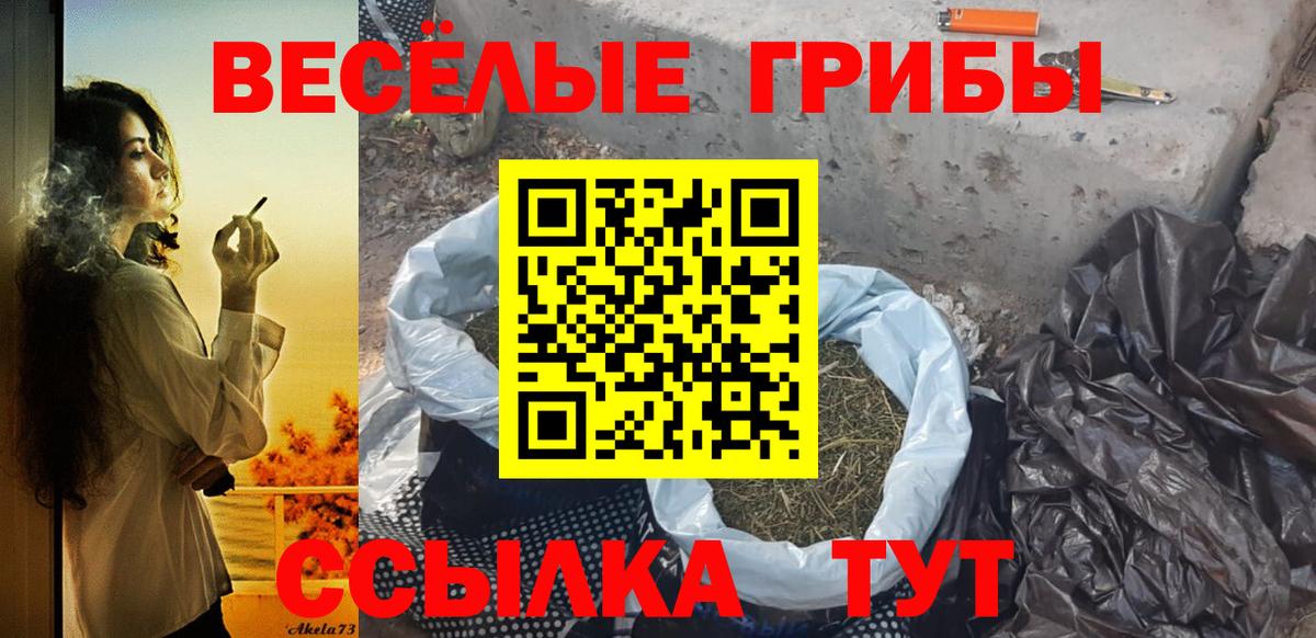 Галлюциногенные грибы мухоморы Ставрополь