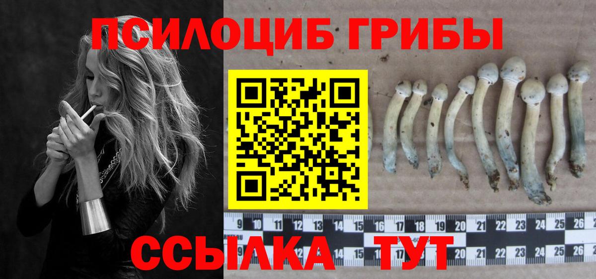 Ставрополь  Псилоцибиновые грибы мухоморы  Псилоцибиновые грибы Psilocybe  Вход с VPN 